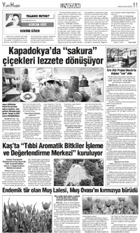 11. sayfayı büyük boyutta görüntülemek için tıklayınız.