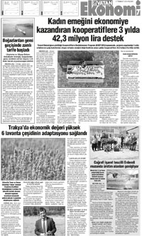7. sayfayı büyük boyutta görüntülemek için tıklayınız.