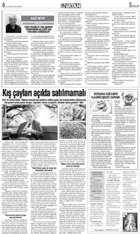 8. sayfayı büyük boyutta görüntülemek için tıklayınız.