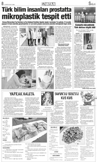 8. sayfayı büyük boyutta görüntülemek için tıklayınız.